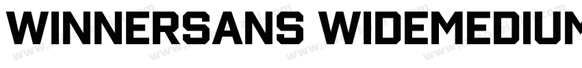 WinnerSans WideMedium字体转换